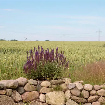 Luettge Hus 公寓 Gerdau