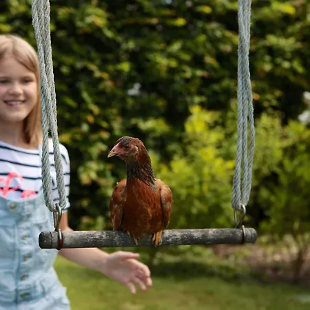 公寓 Luettge Hus *