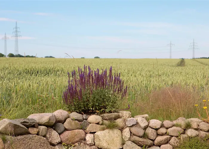 Luettge Hus Lägenhet Gerdau